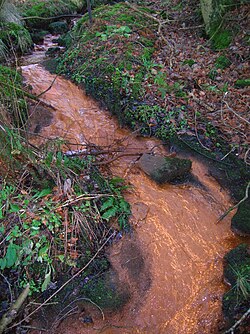 250px-Iron_bacteria_burn